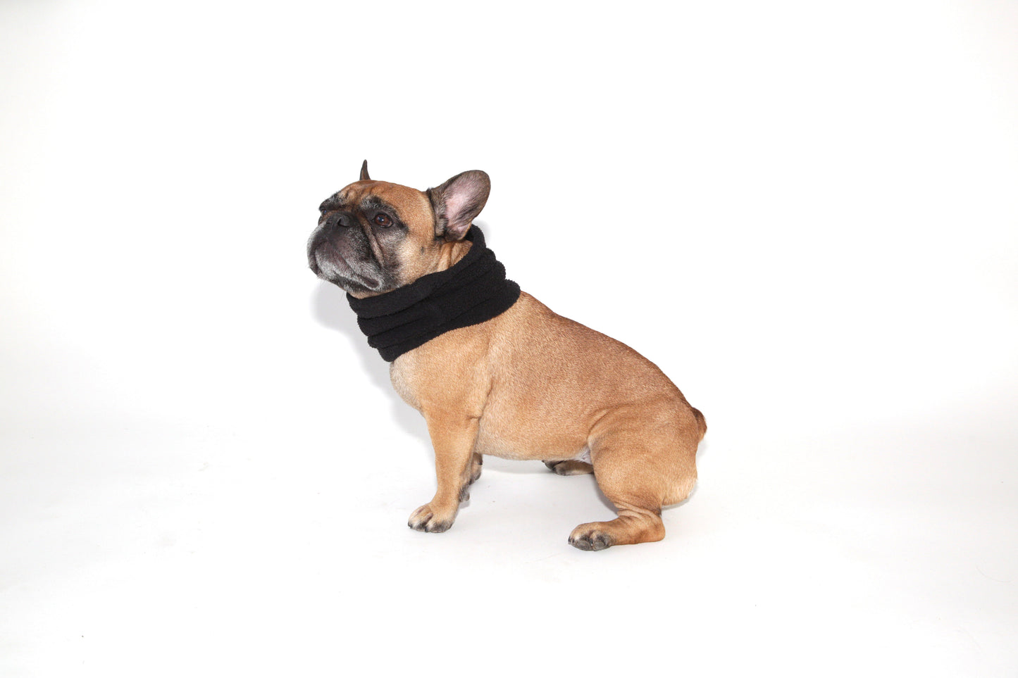 DOG NECK WARMER SNOOD - BLACK