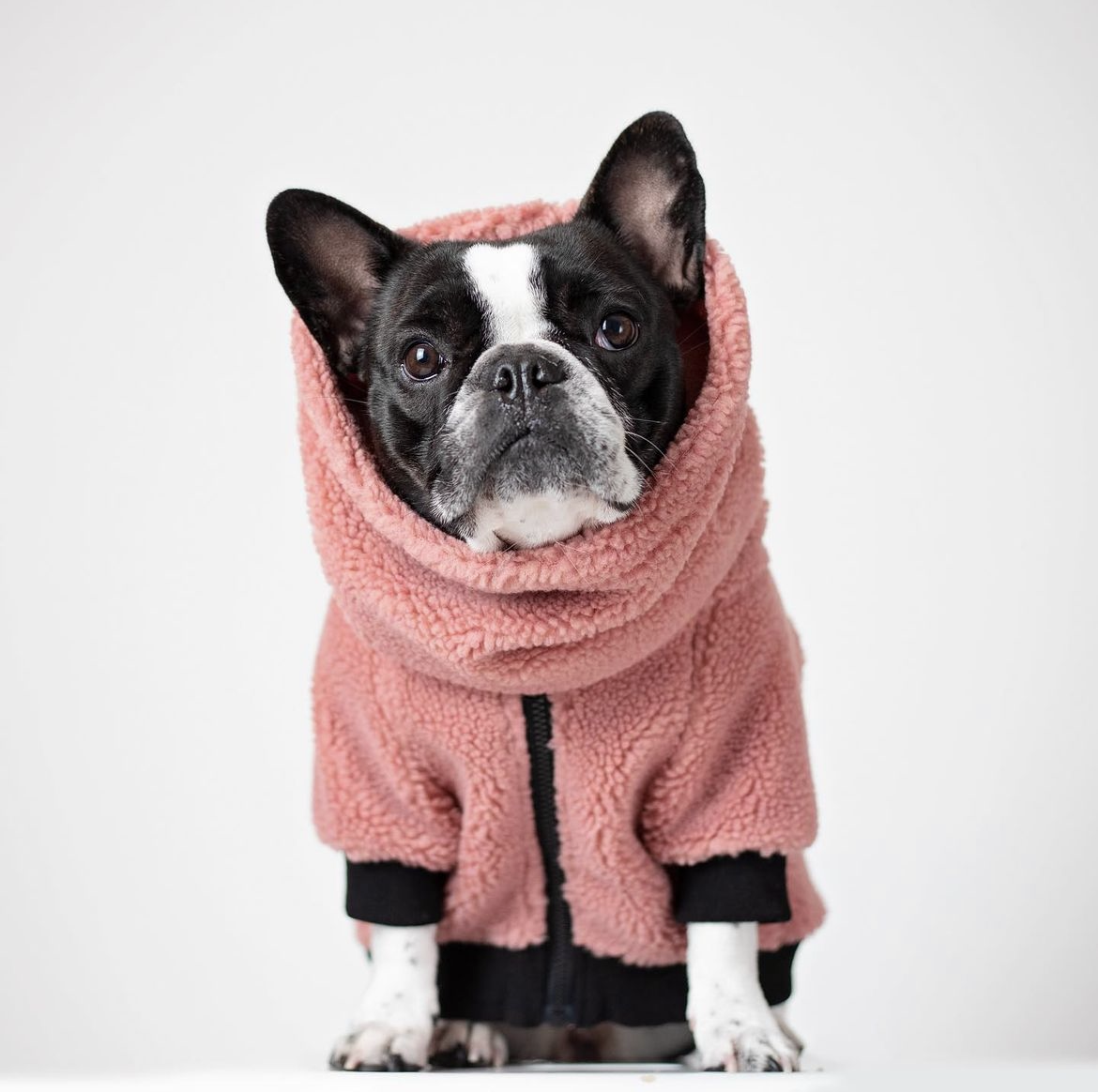 DOG SHERPA JACKET - PINK