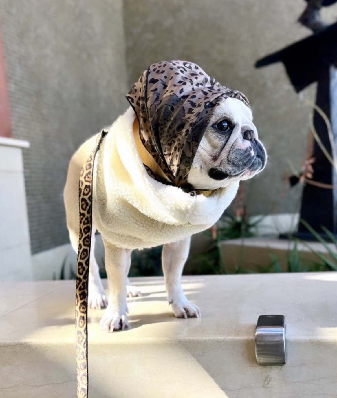 DOG NECK WARMER SNOOD - BONE