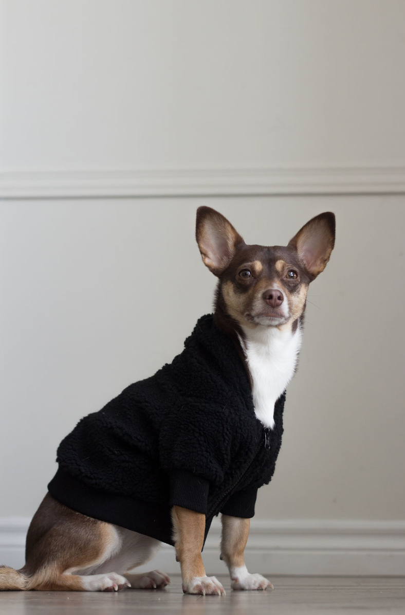 DOG SHERPA JACKET - BLACK