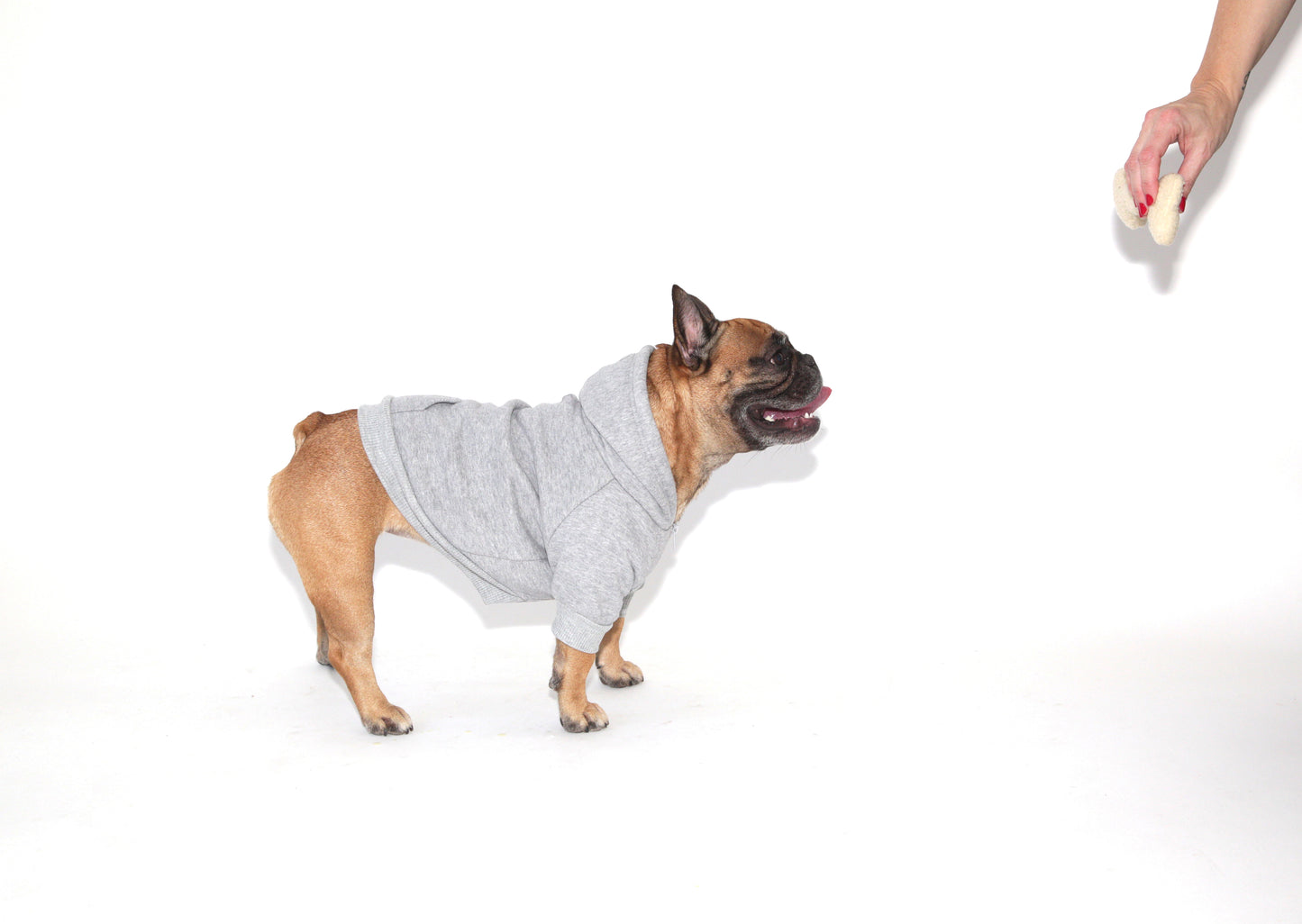 DOG SWEATSHIRT - GREY – frendfurever HEATHER
